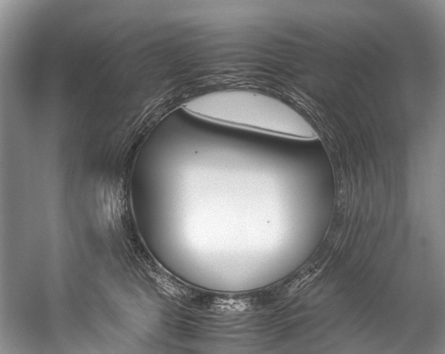 X0000059230469200510140831