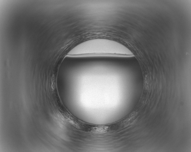 X0000059230474200510140831