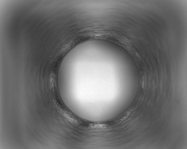 X0000059230476200510140831