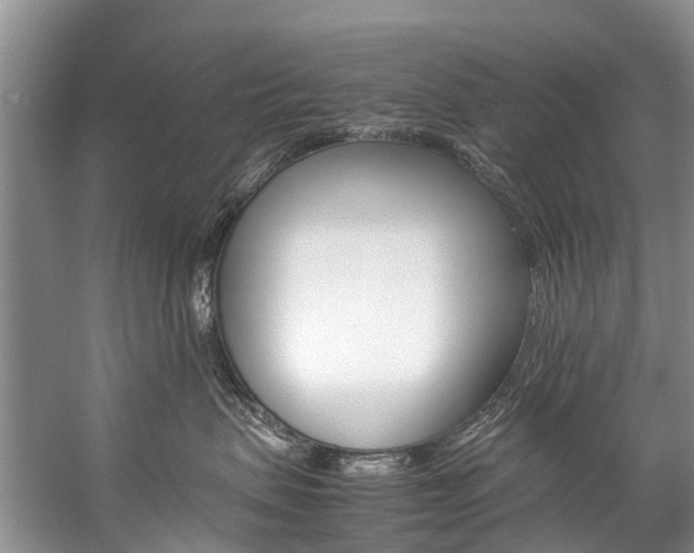 X0000059230479200510140831