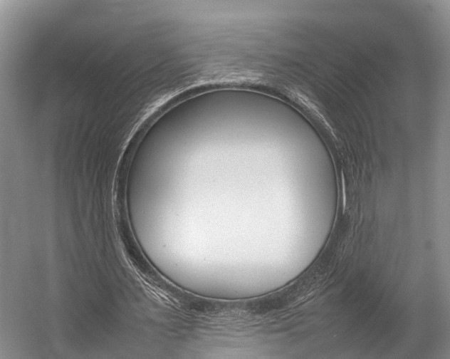 X0000059230483200510140830