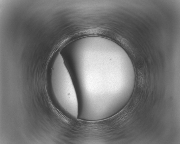 X0000059230486200510140830