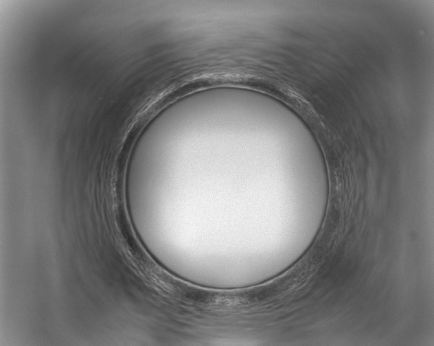 X0000059230487200510140830