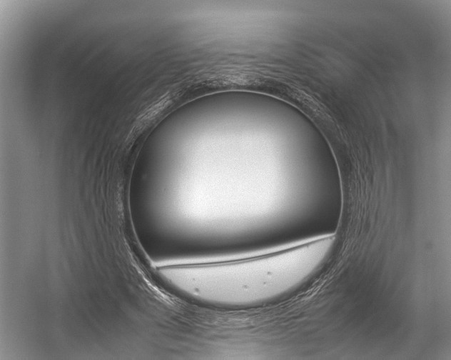 X0000059230489200510140830