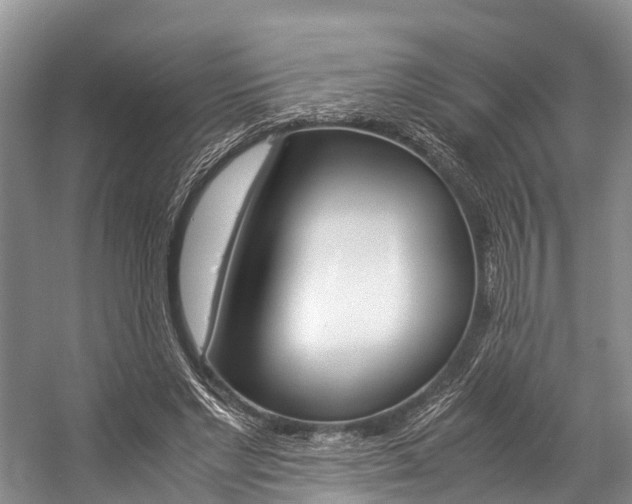 X0000059230493200510140830
