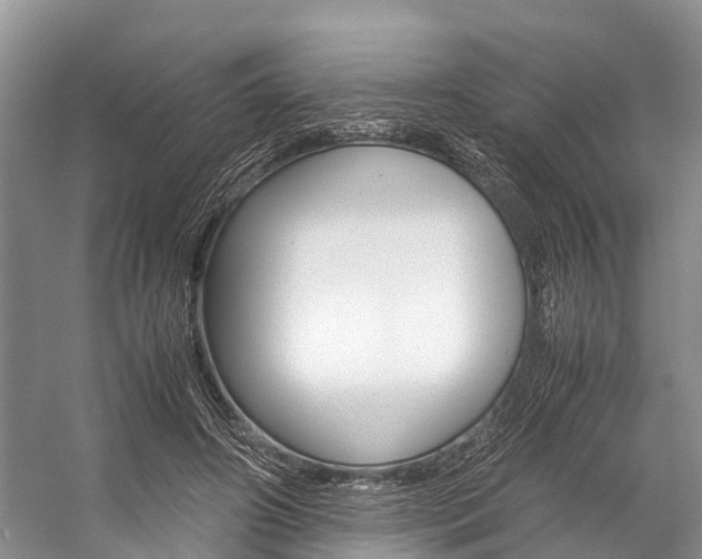 X0000059230498200510140830