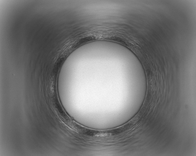 X0000059230499200510140830