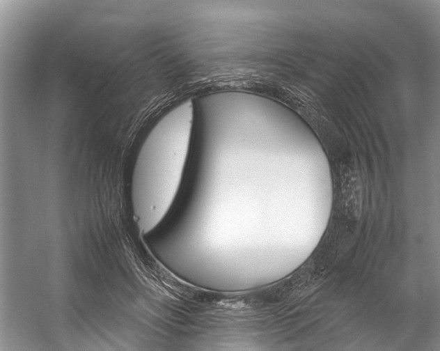 X0000059230502200510140830