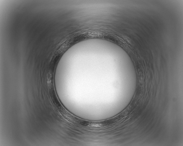 X0000059230507200510140830