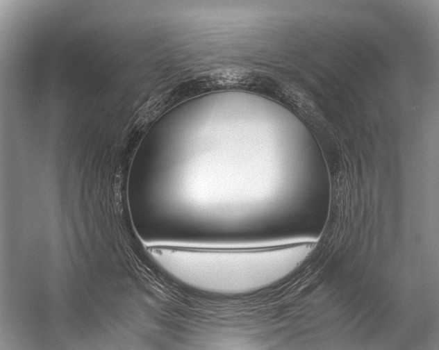 X0000059230509200510140830