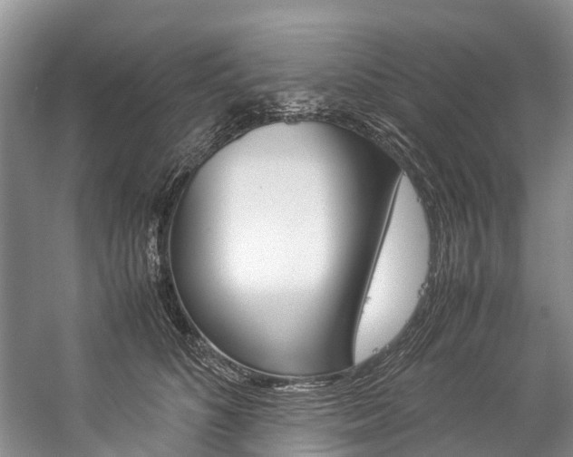 X0000059230516200510140830