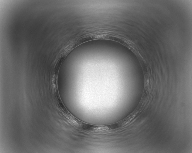 X0000059230525200510140830