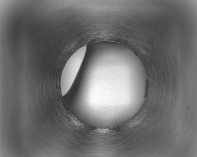 X0000059230528200510140830