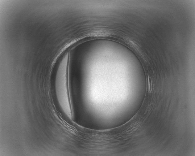 X0000059230531200510140829