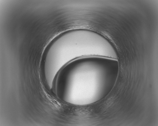 X0000059230532200510140829