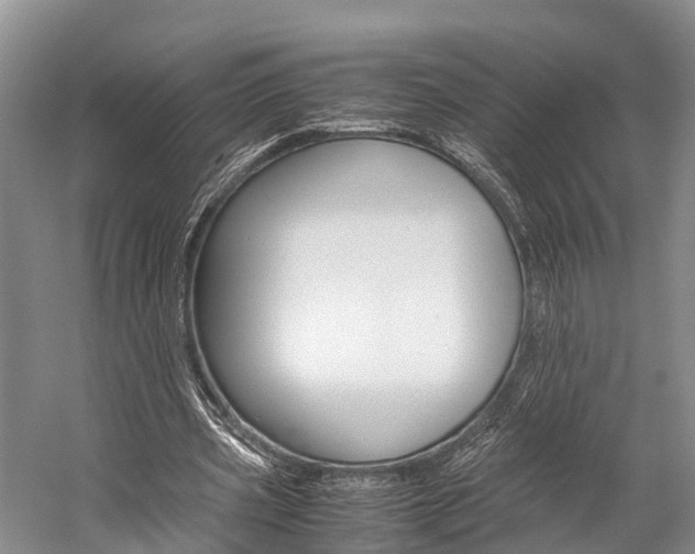 X0000059230533200510140829