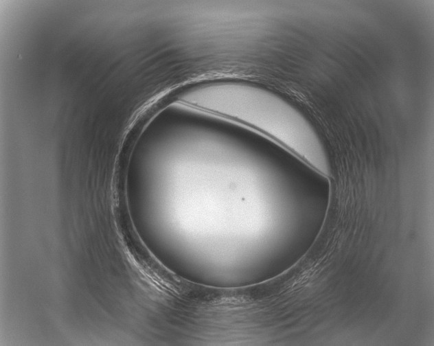 X0000059230536200510140829