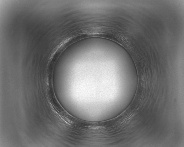 X0000059230539200510140829