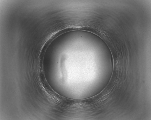 X0000059230540200510140829