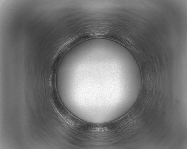 X0000059230543200510140829