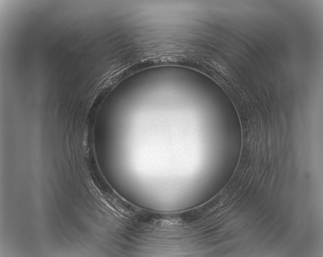X0000059230548200510140829