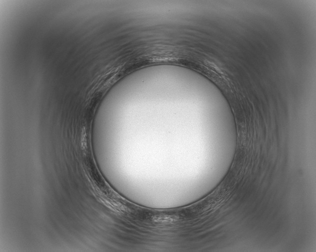 X0000059230549200510140829