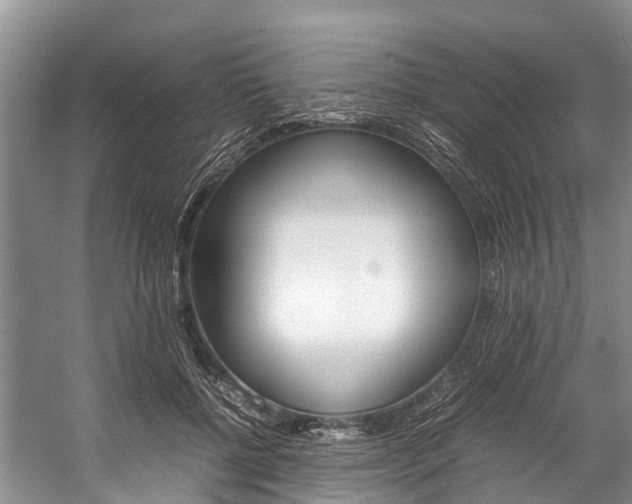 X0000059230552200510140829