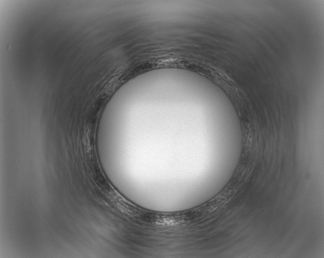 X0000059230565200510140829