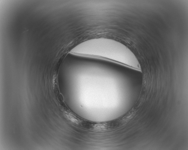 X0000059230574200510140830