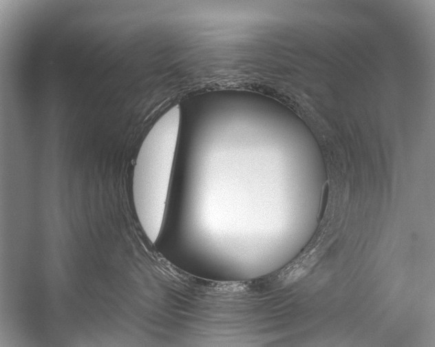 X0000059230576200510140830