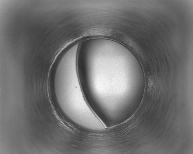 X0000059230580200510140829
