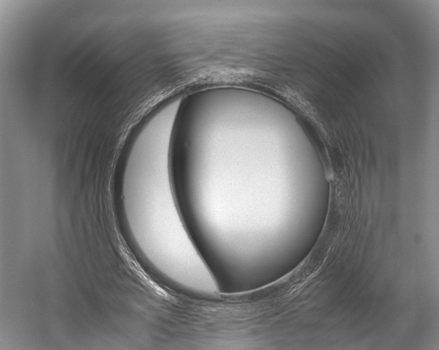 X0000059230581200510140829