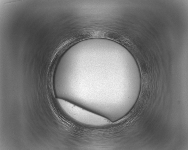 X0000059230587200510140829