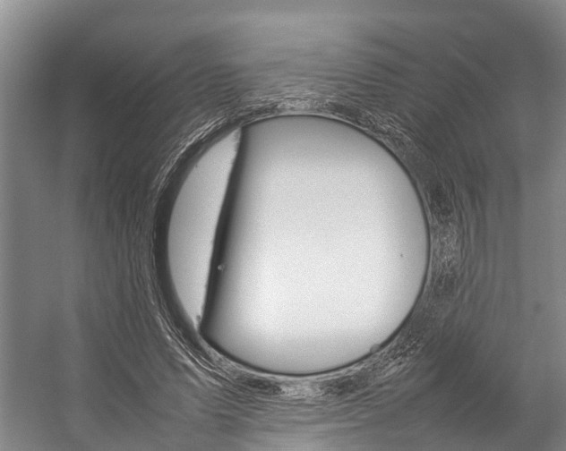 X0000059230591200510140828