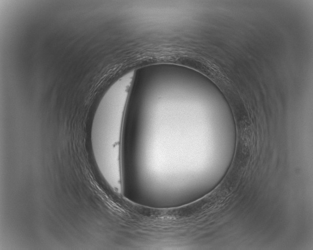 X0000059230593200510140828