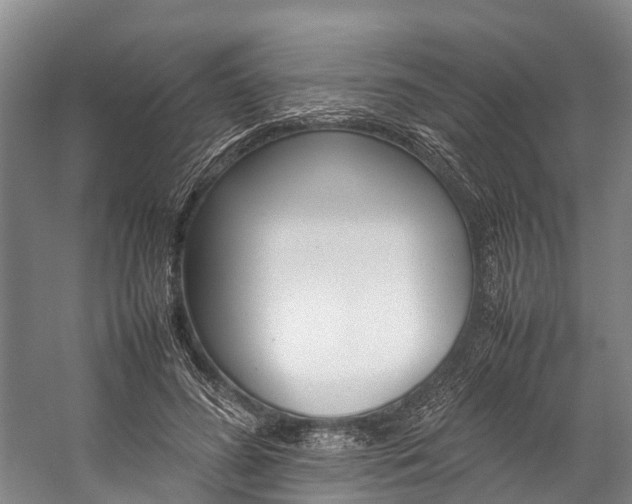 X0000059230596200510140828