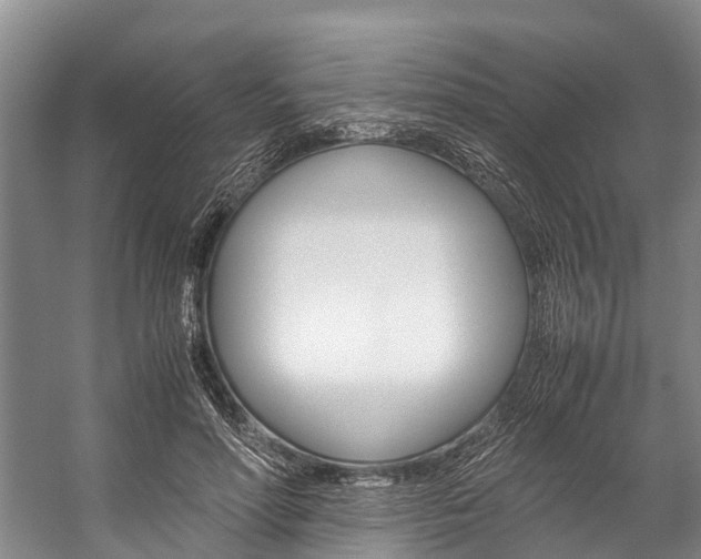 X0000059230598200510140828