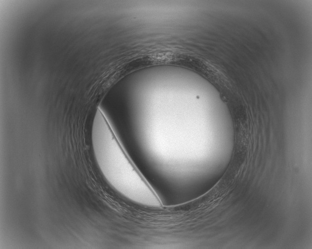 X0000059230601200510140828