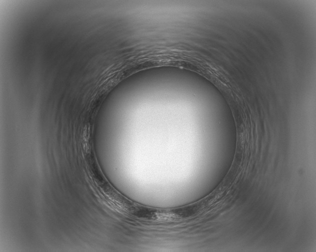 X0000059230605200510140828