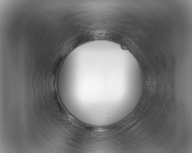 X0000059230610200510140828