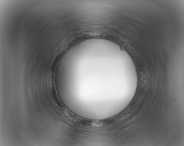 X0000059230612200510140828