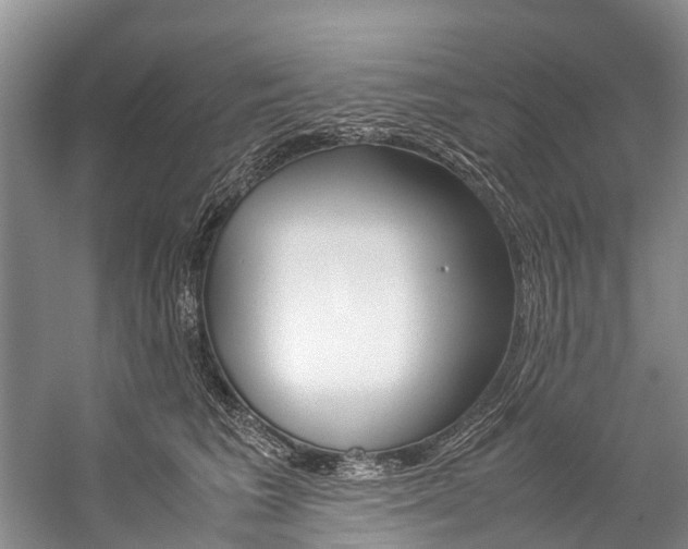 X0000059230613200510140828