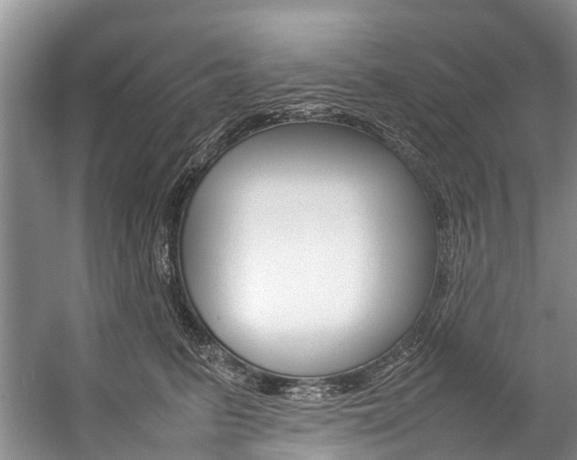 X0000059230615200510140828