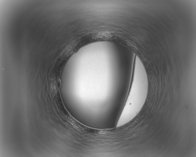 X0000059230617200510140828