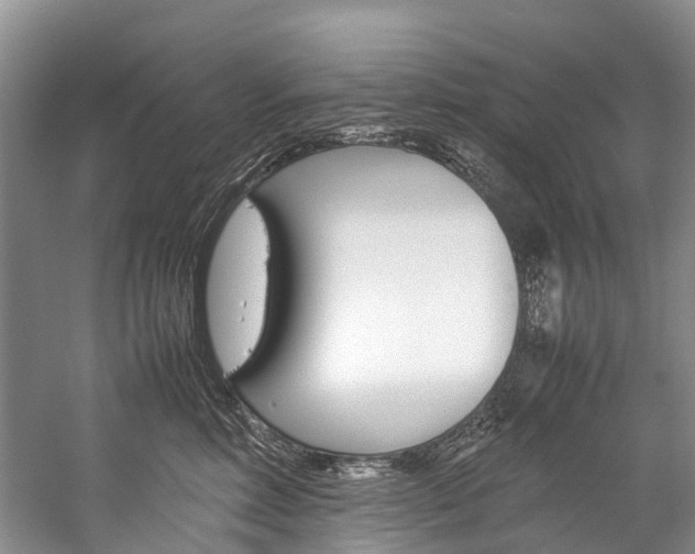 X0000059230618200510140828