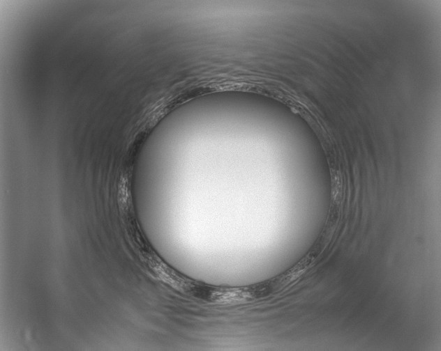X0000059230621200510140828