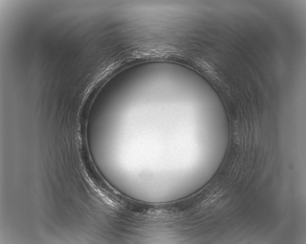 X0000059230634200510140827