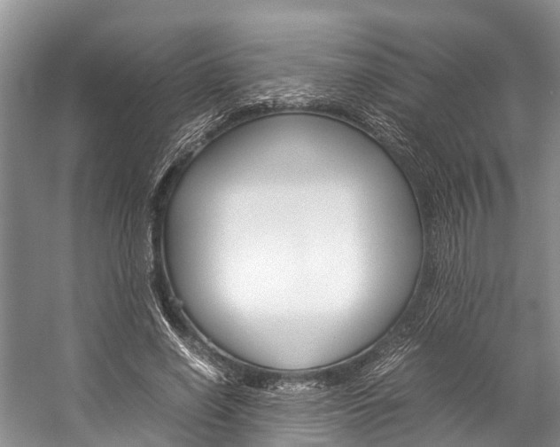 X0000059230638200510140827