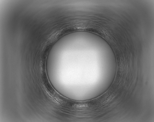 X0000059230639200510140827