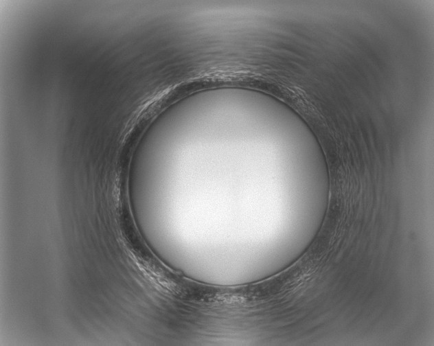 X0000059230640200510140827